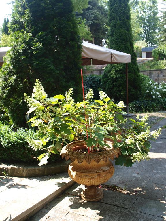 Pension Zur Koeniglichen Ausspanne Dresden Dış mekan fotoğraf